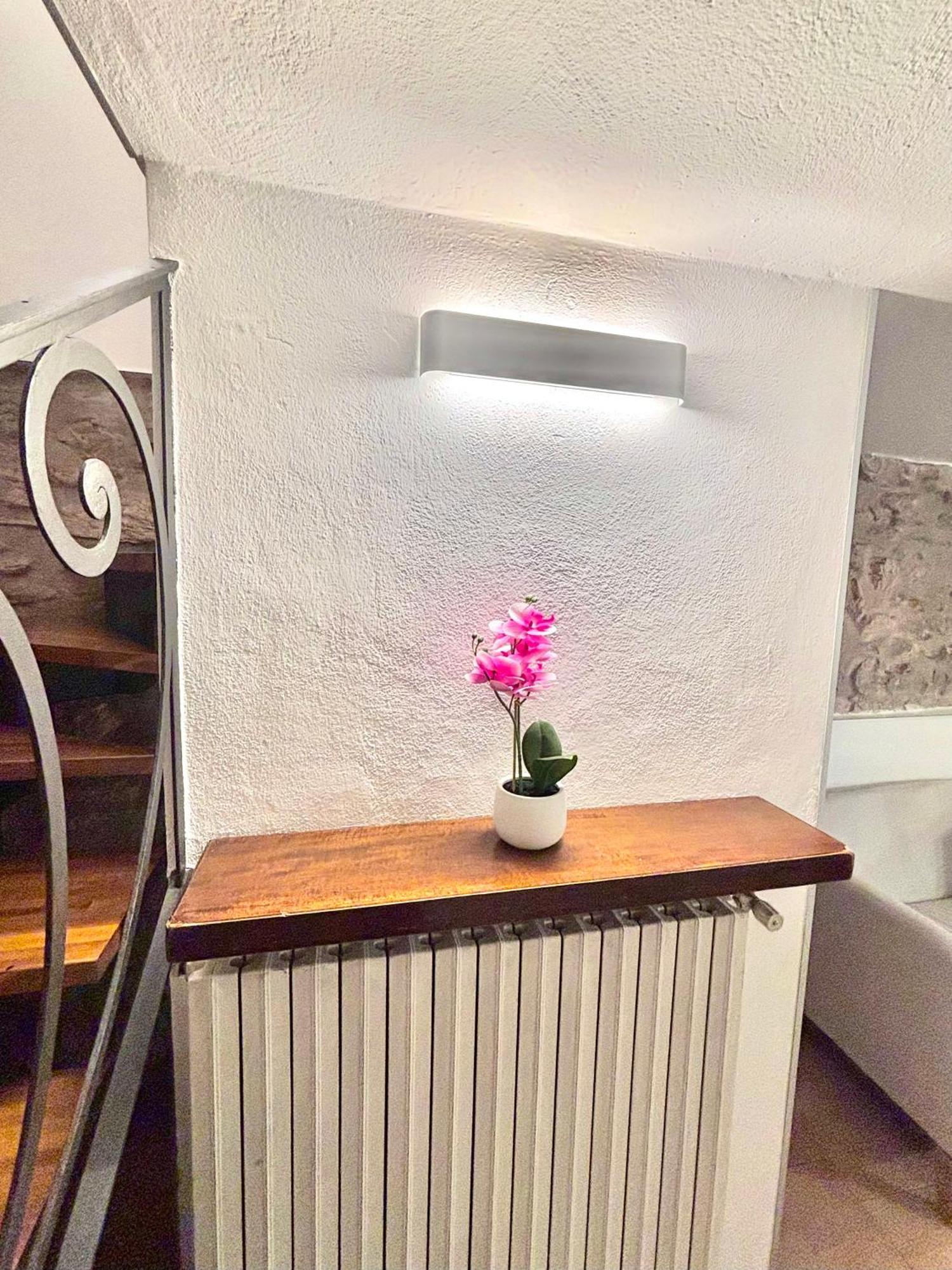 Vittoria Holiday House - Tulip Apartment And Tulip Room Stresa Bagian luar foto